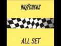Buzzcocks - Without You