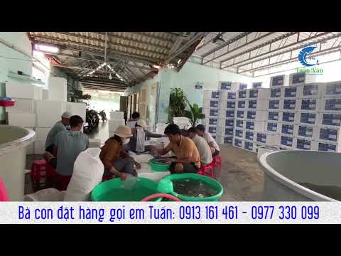 Lô post được gia công đặc biệt cho khách Nghệ An nhà em Tuấn