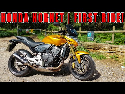 Honda Hornet CB600F | FIRST RIDE!