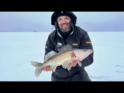 Tuulen tuomat kuhat - Kuhan pilkintää järvellä
