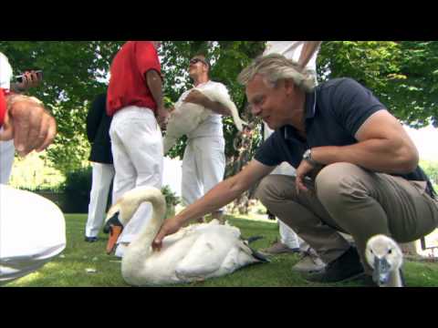 Thumbnail of the video: Man & Beast with Martin Clunes | ITV