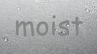 send this to people that hate the word moist