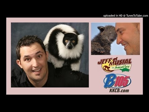 Ken & Cathy Interview Jeff Musial The Animal Guy on the B105 Breakfast Club