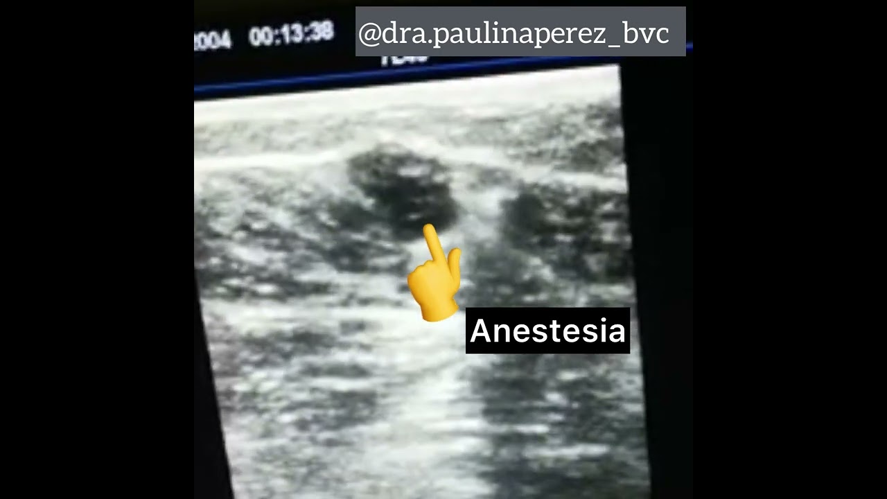 Paulina Pérez Ramírez-15