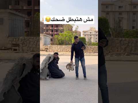 هتعيط من الضحك😂😂📸 #ضحك #كوميديات #funny #هتضحك