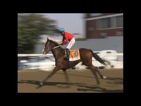 Nourbese  - 2020 Grade 2 Golden Horseshoe