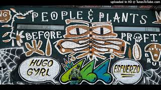 Green Eggs And Swine