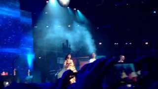 Les Enfoirés 2014 - On Ira