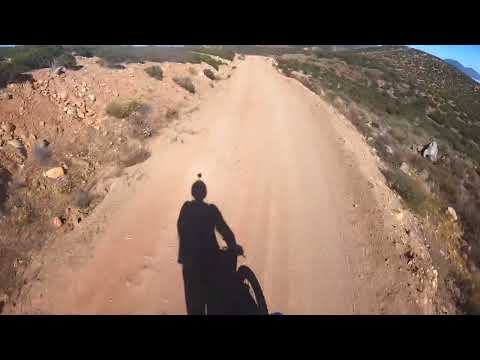 Attacked by six dogs while dirt biking in Baja.