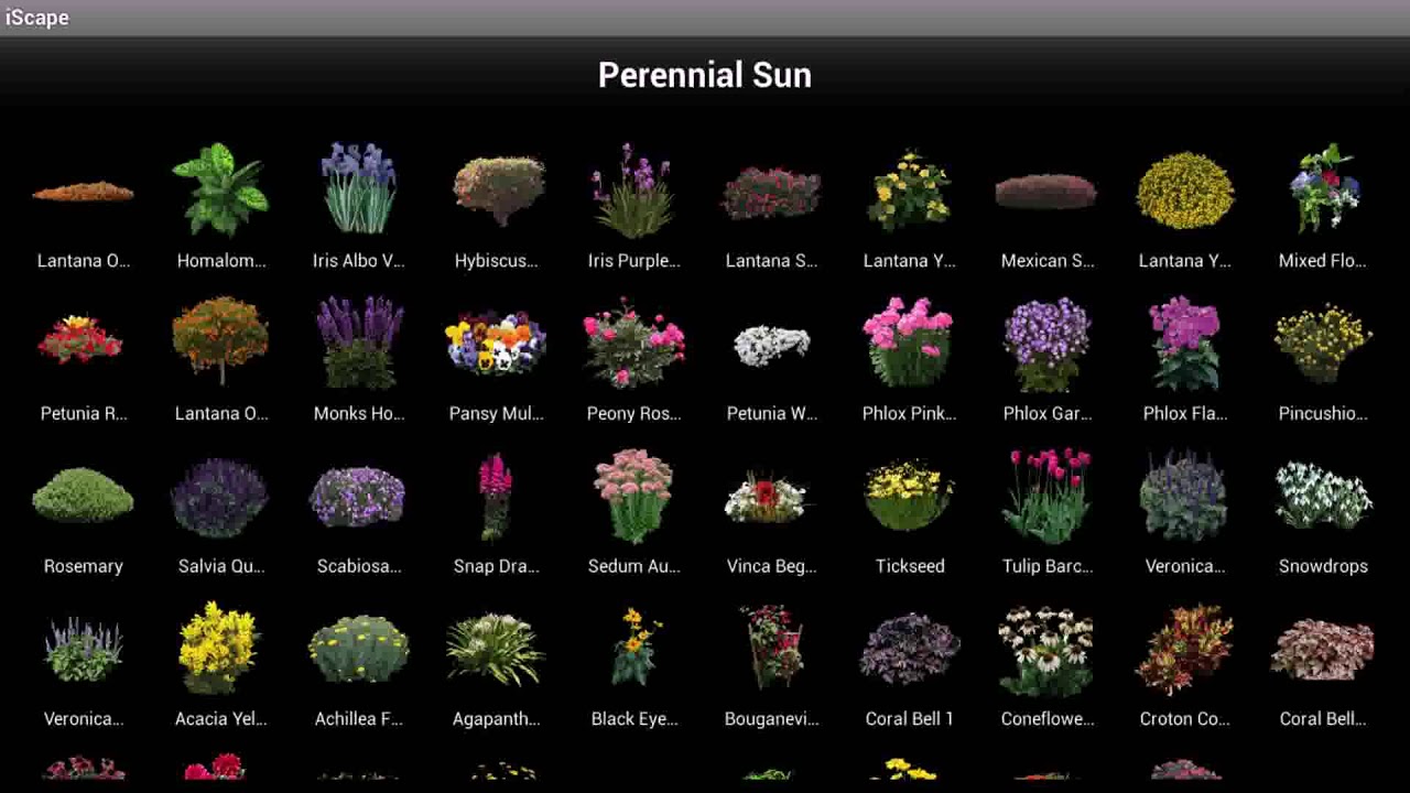 Free Landscape Design Software Ipad