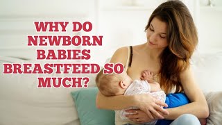 Why do newborn babies breastfeed so frequently?