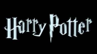 Harry Potter Remix - VSIDE