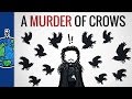 Why Is A Group Of Crows Called A “Murder”?