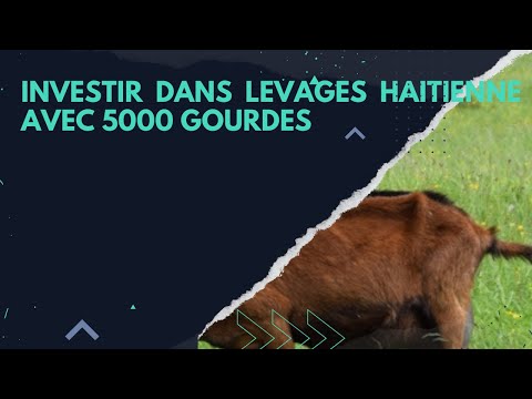 , title : 'Investir dans elevages  de CABRI ou CHEVRE  en haiti avec 5000 gourdes'