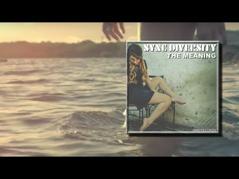 Sync Diversity - The Meaning (Original Mix)