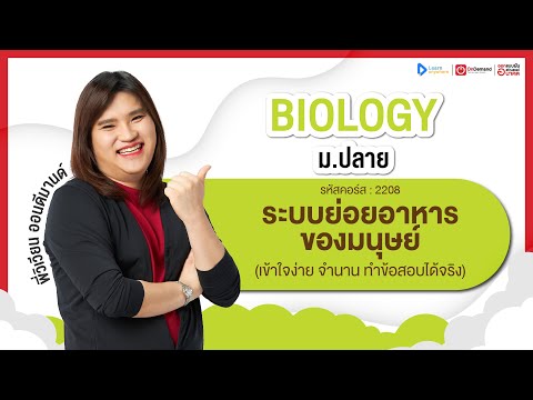 ShopOnline | OnDemand คอร์สเรียนออนไลน์ ชีวะ การย่อยอาหารและการดูดซึมอาหาร Shoponline | Ondemand คอร์สเรียนออนไลน์ ชีวะ การย่อยอาหารและการดูดซึมอาหาร