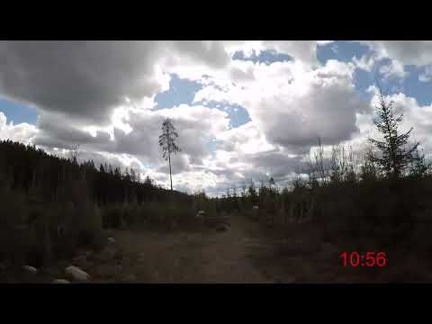 Hälleforsterrängen 2022 - 10 km (Löparperspektiv)