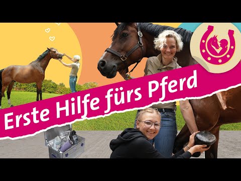 , title : 'Erste Hilfe bei Pferden: Lia bekommt Tipps von der Tierärztin | Mein Pferdesommer | SWR Plus'