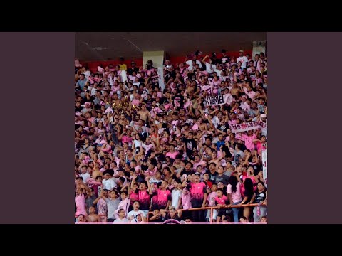 "La Parte De Adelante - Sonora Porteña" Barra: Barra Popular Juventud Rosada &bull; Club: Sport Boys