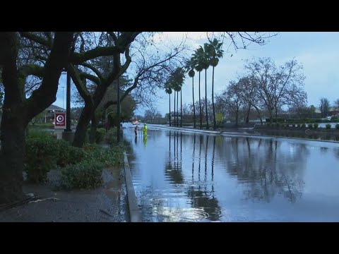 Winter storm floods streets, drops trees on homes in Sacramento