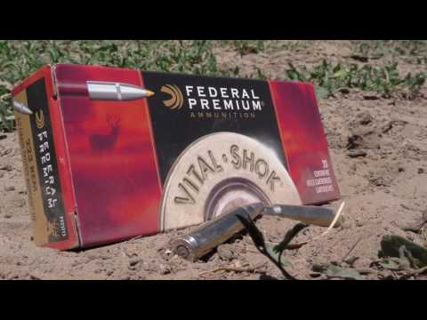 .223 federal varmint \u0026 predator 50 grain jhp