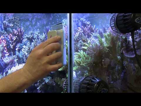 Watch Video on YouTube