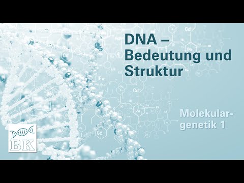 [Molekulargenetik 1]  DNA – Bedeutung und Struktur