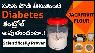 Jackfruit Flour for Diabetes /Jackfruit365/మన రోజు వారి భోజనంలో భాగంగా పనసపొడి ని ఎలా తీసుకోవాలి❓