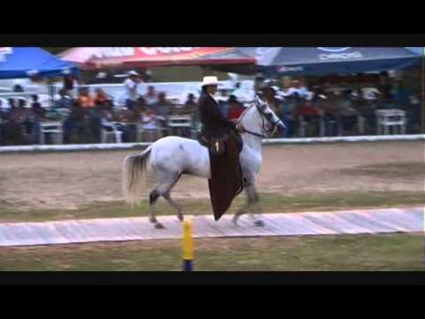 Venenosa del Tamarindo ( Centauro del Limon x Zarzamora del Tamarindo) Since grado B 2013