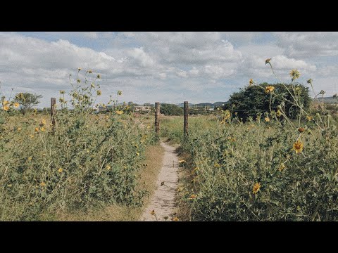 Bioenergetic Helpline #10: Thyroid Mistakes, High Ferritin, Progesterone for Men, Finasteride Works?