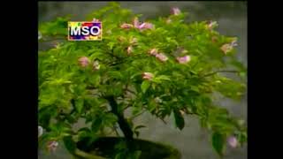 Download lagu [KARAOKE] Lestari - Utuskanlah Rindu Didoamu mp3