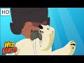 Creature Battles Every Creature Showdown Part 2 Wild Kratts