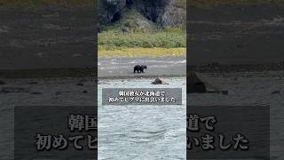韓国彼女が初めてヒグマを見た日🐻 #韓国 #カップル #日韓カップル