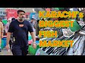 Karachi's Biggest Fish Market | Fish Harbour
