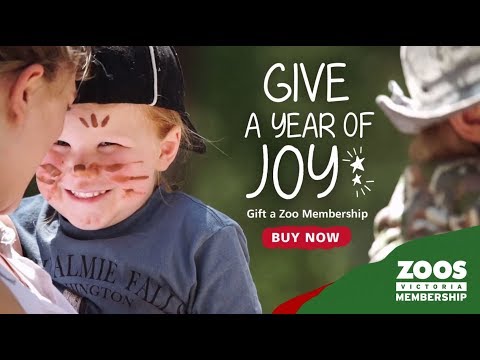 A Year of Joy! Gift a Zoo Membership