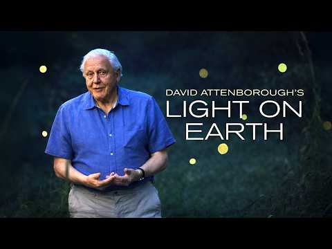 Light on Earth