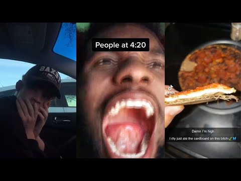 tiktoks that radiate weed energy [#6] - Fatally Stoned