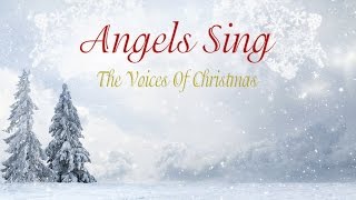 Bobby D'Ambrosio feat. Jamelle Jones - O Christmas Tree