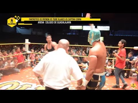 Cuadrangular de Máscaras: Paymon vs Fantástico vs Capitan Cobra vs Tigre Blanco