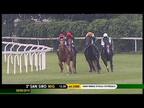 2019.06.09 Gran Premio d'Italia (ITA) - Chestnut Honey