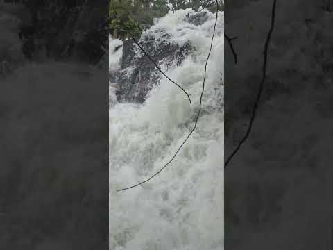 Cachoeira do Cavalo Queimado - Rio da Conceição Tocantins