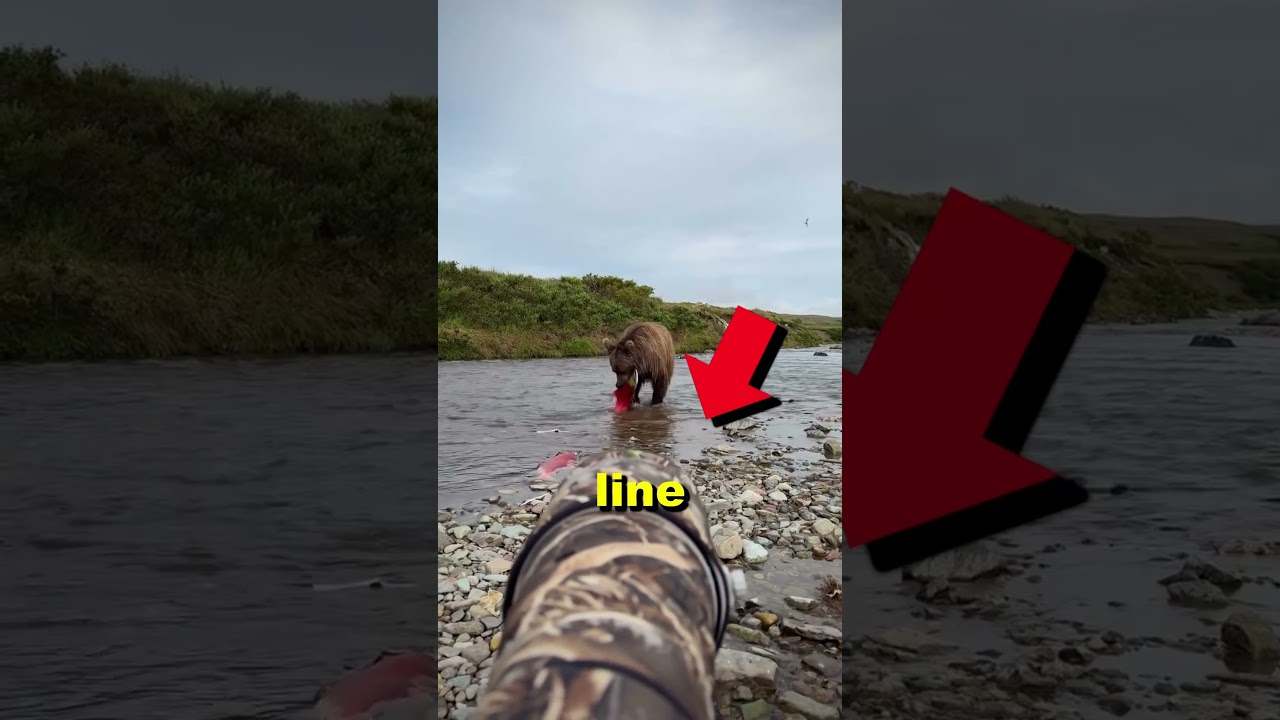 Fish were harmed during the making of this video unfortunately 🎣😬 (Via @josh.r.addison  on IG)