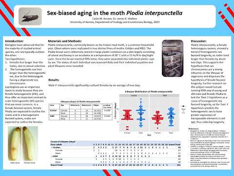 <p>Sex-biased aging in the moth <em>Plodia interpunctella</em></p>