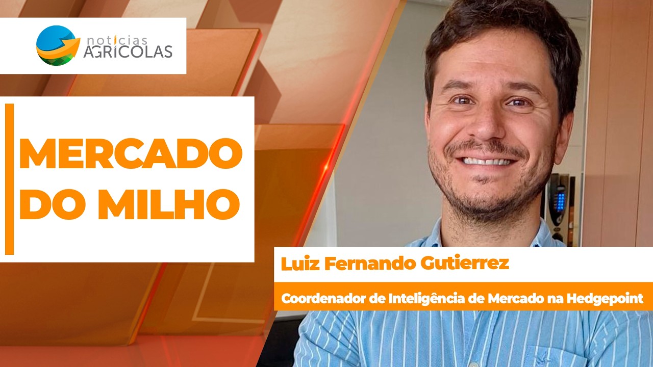 Demanda por milho se aquece no Brasil, preços sobem e produtores aproveitam para avançar com...