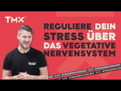 Reguliere dein Stress über das vegetative Nervensystem
