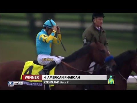 American Pharoah - 2015 Breeders' Cup Classic