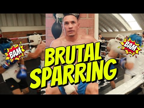‼️ GALLO ESTRADA brutal sesion de sparring CIERRA PREPARACION  para enfrentar a BAM RODRIGUEZ..