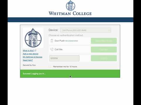 Item video thumbnail