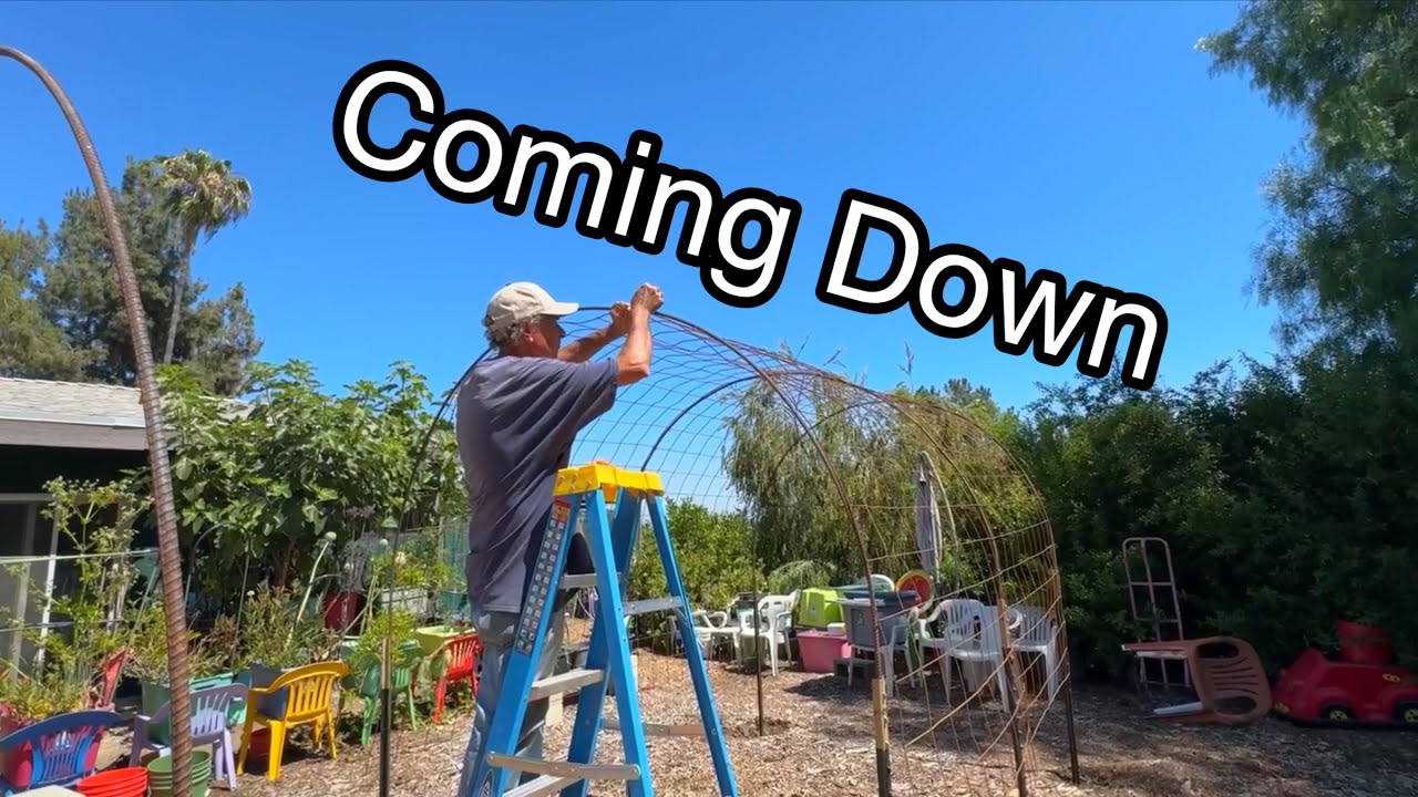 Preparing New Way of Container Gardening for Vegetables to Grow as Vertical Garden Tunnel is Moved