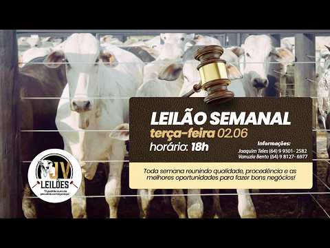 JV LEILÕES - AO VIVO  - 02/06/2026 / SANCLERLÂNDIA - GO